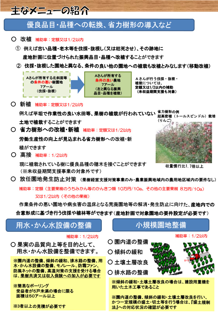 R8チラシ「果樹経営支援対策事業・果樹先導的取組支援事業を活用しましょう！」（福岡県版）2